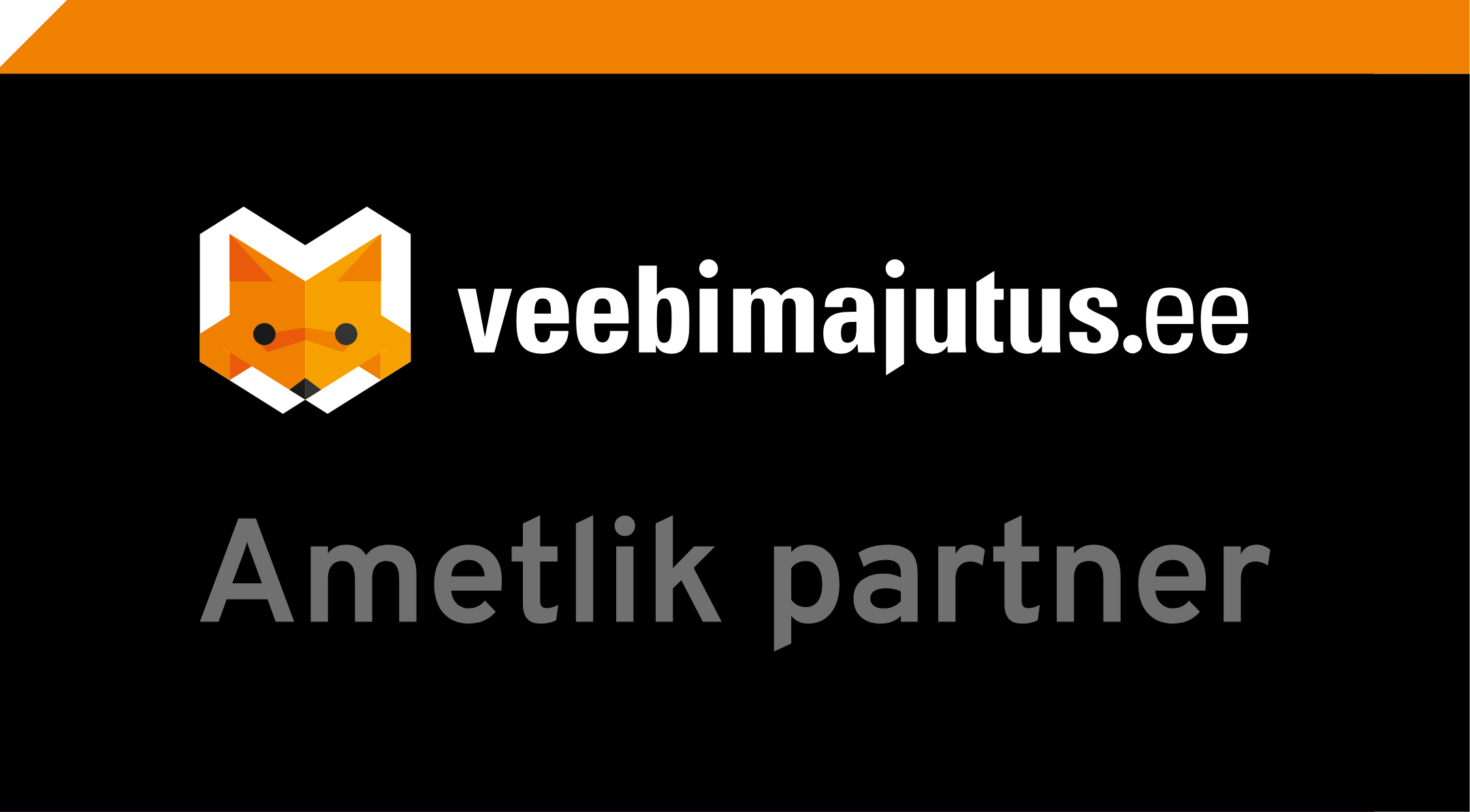 Veebimajutus – Website Hosting Service
